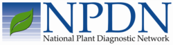 NPDN_logo