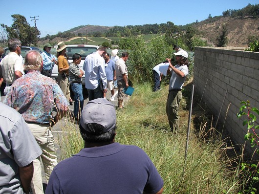 Casey Burns of the Natural Resource Conservation Service demonstrates a small scale vegetated strip for filtering drainage at the Ventura County Resource Conservation District office in Somis.