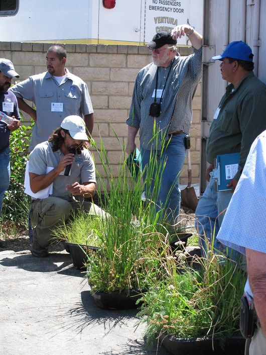 Casey Burns shows some examples of plant species combinations that work well for small-scale vegetated filter strips.