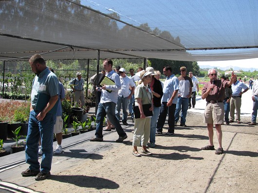 Ron Farland of Plants Plus Nursery in Somis (with microphone) explains the layout of drainage channels and how they can accommodate container plants to absorb and reduce runoff.